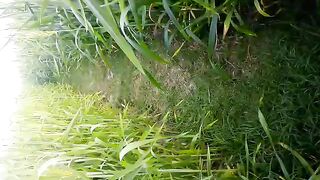 Nature is beautiful. Isn't it?