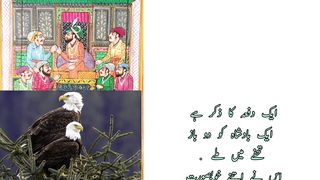 |Lesson able|Story|ایک بادشاہ کو جب دو باز تحفے میں ملے|