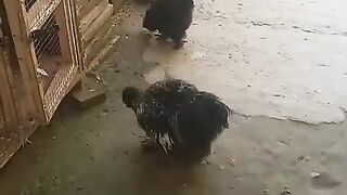 Gjklkghjkll