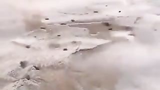 Look what happens when you salt this beach ????