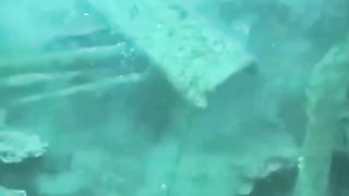 Free diving fishing and hunting in the water