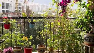 Beautiful Balcony