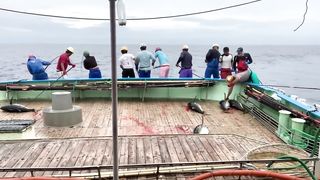 Tuna fishing in Japanese waters