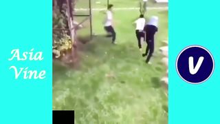 Funny Videos ( Ep 1)