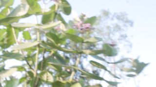 BD Village Lifestyle / I see a beautiful village in Bangladesh, but my eyes don't stop.