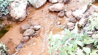 Feel the nature