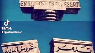 Memories of the city of Palmyra