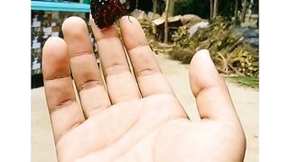 butterfly ❤️