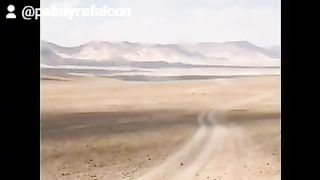 Memories of the city of Palmyra