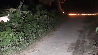শ্মশান রাস্তায় ভুতের কান্ড