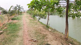 Most Beautiful Natural Beauty And Sound For Sleeping