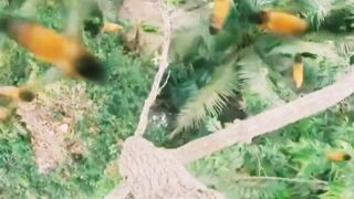 The bee bit him and made him sick!