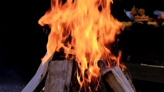 Fire flames wood free stock video. Free