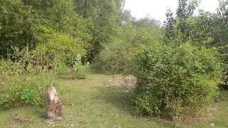 A walk in the forest