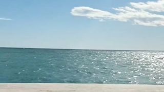 There is a beautiful port on the coast and in the city I live in