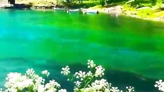 Fireflies_????_[Video].