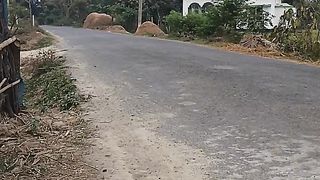 Streets and trees