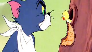 Tom & jerry fight