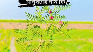 Tiktok থেকে পাওয়া