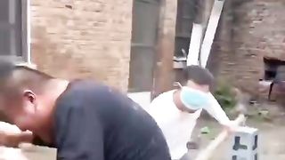 funny video