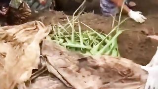 NANGKID NGABEN BALI