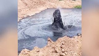 #trending #respect #respectshorts #viral #funny #tiktok #viraltrend #shortvideos #sportsapparel