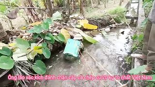 Fune fishing video clips