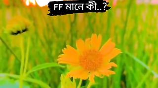 আমিও জেনে গেছি