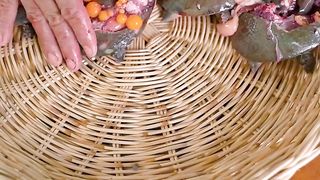 Cooking the turtle for eat