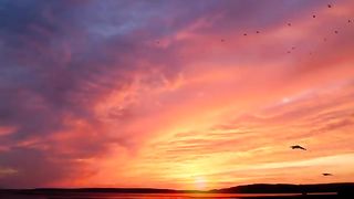 4k-videos ultra hd red sky Nature  Baground Videos No Copyright videos