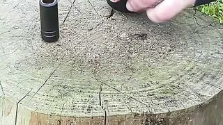 Sense Dengeln_ satisfying video