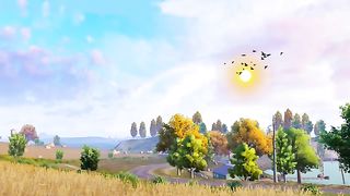 Funny video of Balto