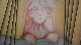 Cat ????????رسم قطه بالالوان