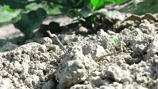 My First Blog