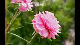 ইফতার করে নামাজ আবার সেহরির পর নামাজ কি সুন্দর