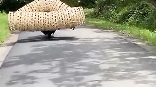 Loads of goods that exceed the dangerous capacity of almost one road are closed