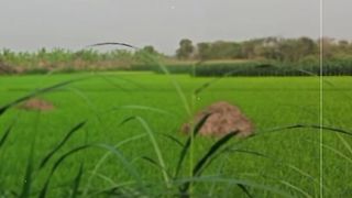 Beautiful video