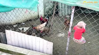 monkey new episod