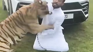 Dubai_sheikh_playing_with_his_Lion_and_Cheetah____Dubai_life_style(480p)