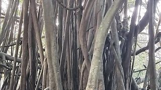 Natural view