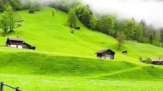 I just wanna be here for rest of the life.. without any worries..   ????Berner Oberland, Switzerland ????????