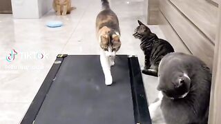 training