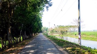 Beautiful Village Road In Bangladesh