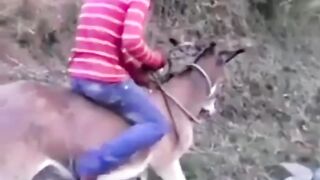 Funny Video ????????????