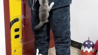 Best Funny Videos Of Dogs ? And Cats ? - Try Not To Laugh!\\Funny cute babys