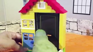 Funny video