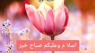 Voice of Pakistan
