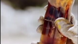 experiências caseiras!