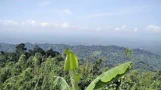 Hill View