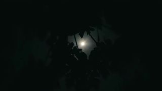Beautiful night ❤️